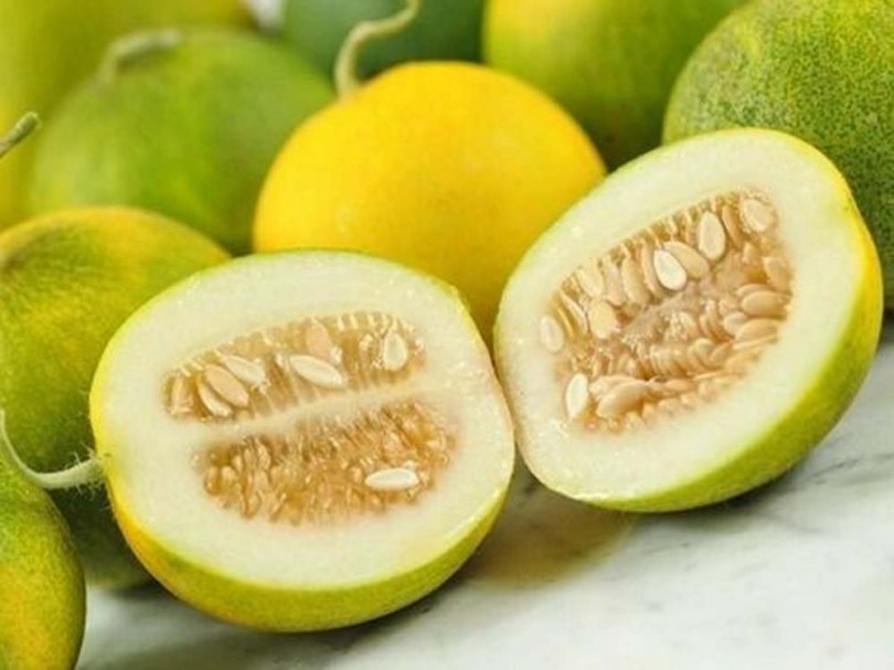 Mari mama pite sárgadinnyéje - Egzotikus sárgadinnyék az Egzotikus Növények Stúdiójától